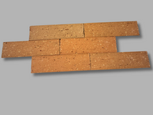 Load image into Gallery viewer, Golden Dune - Clay Tile - Architectural Collection